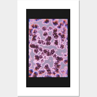 Cells And Biological Tissues Posters and Art